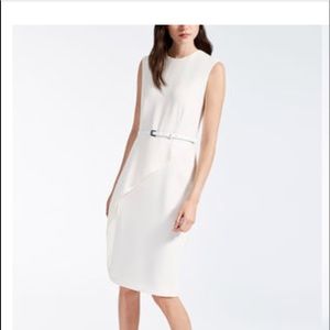 MaxMara Cady Dress